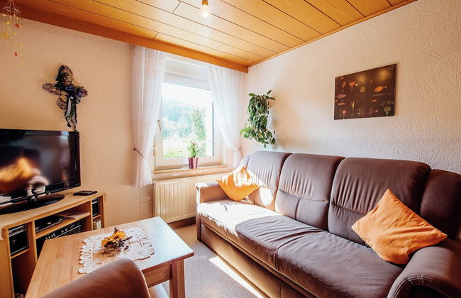 Luring Apartment in Plankenstein near Forest - Photo 23