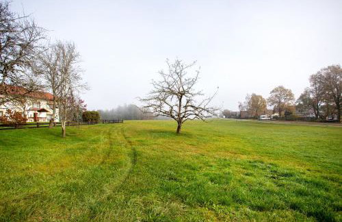 Ferienhaus Amrhein - Foto 28