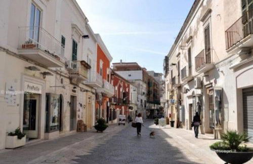 Casa caretta caretta - Foto 25