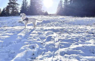 APPARTEMENT CHALETS DU SUPER D - Photo 5