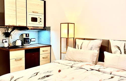 RIVER FRONT NEAR FRANKFURT-AIR CONDITIONER-Private PARKING - Foto 12