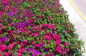 Villa PANORAMA y Villa MIRADOR - Foto 45