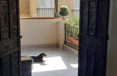 Camilla suite - Foto 53