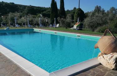 Fattoria Antognoni - Foto 57