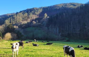 Casa el Fanoso - Foto 29