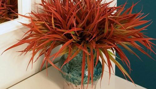 Nuovissimo appartamento zona Vaticano Aurelio - Foto 5