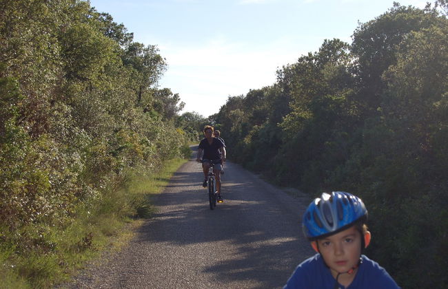 Gorgonia Apartments - Foto 33