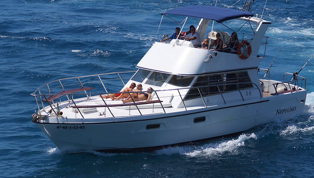 An Bord der Neptuno - Halbtagestour - Foto 3