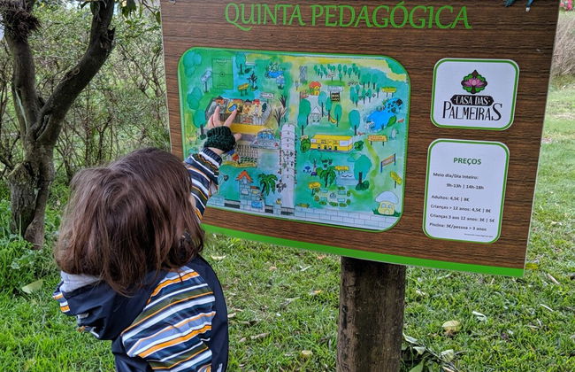 Casa das Palmeiras - Pedagogic Farm - Foto 109