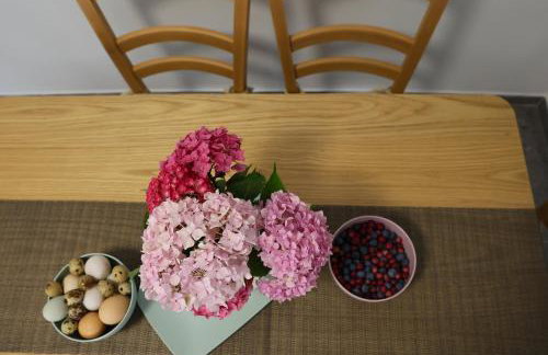 Kuća za odmor Marof - Foto 9