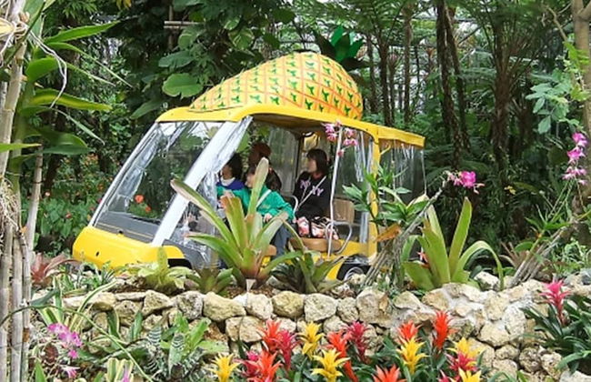 Cottage Seawind NAKIJIN - Foto 24