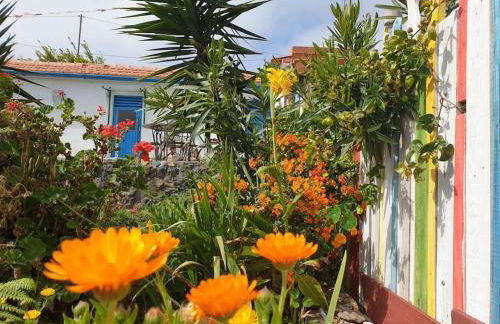 Casa Tara Ruhe und Entspannung, Natur pur - Foto 20