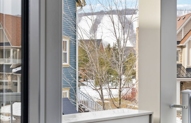 Historic Snowbridge Townhomes - Foto 68