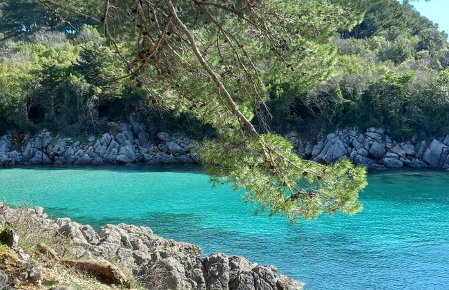 House of Olives Comfortable Holiday Residence - Foto 31