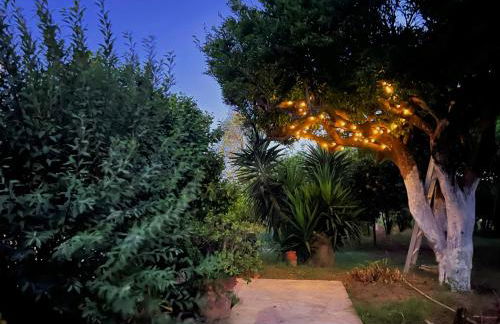 VefiÀ Procida casavacanze - Foto 11