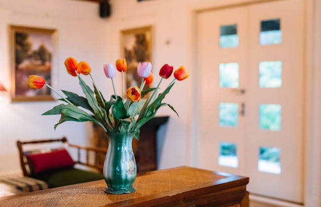 Outlook Hill Vineyard Cottages - Foto 6