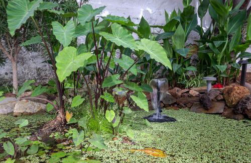 Santa Brigida Window Suite - Foto 67