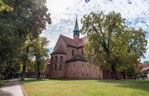 Tiny House Ernesto - Foto 15