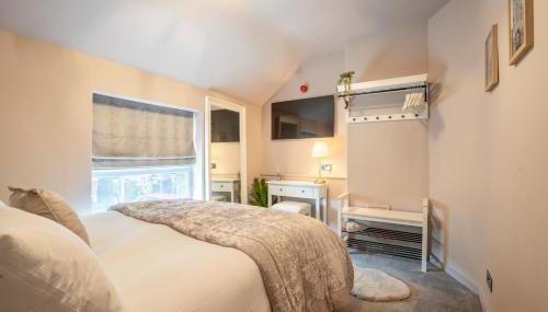 The Saddlers - Photo 3