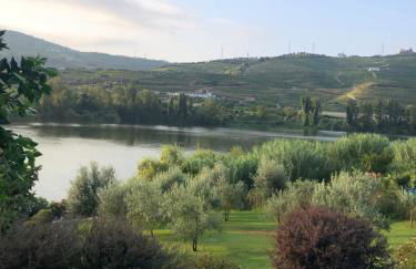 Casa da Horta - Foto 56