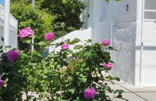 Leodi Place - Foto 26