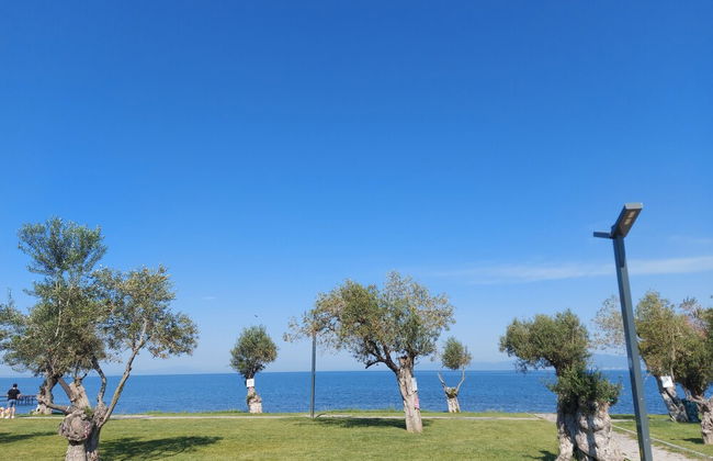 Thassos Apart Otel - Photo 21