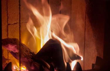 Villa Rosenrot am See - Photo 46