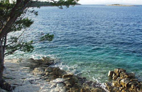 Apartments by the sea Pomena - Mljet - 10426 - Photo 31