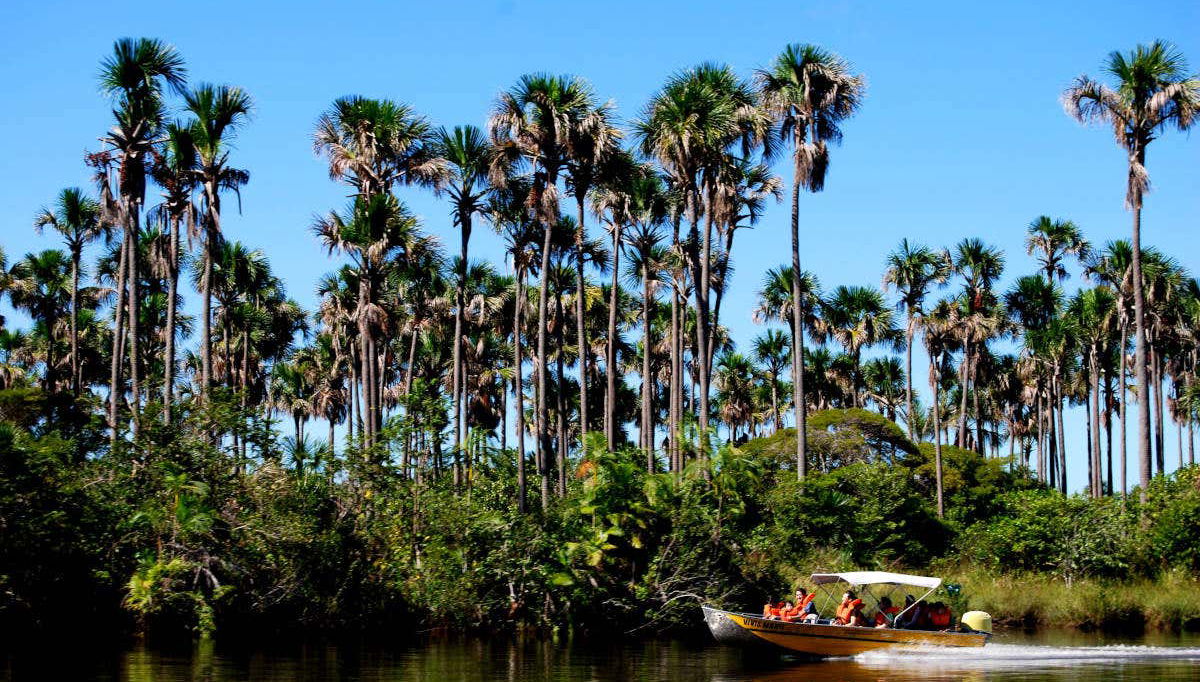 Sailing down the river in a speedboat