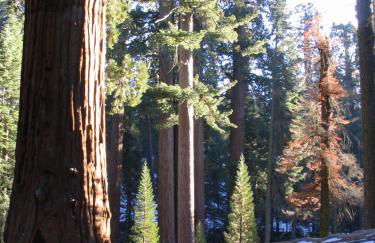 Fivespot Cabin - Foto 43