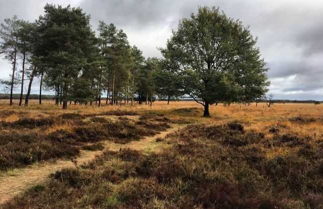 Pavilion 6 People With Storage Space - Photo 1