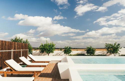 Pateiro da Silva Family Farmers - Foto 11