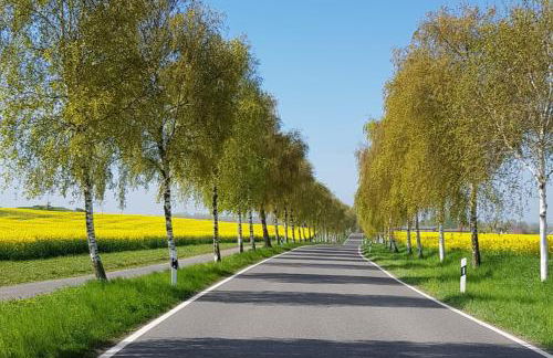 "Haus Seegang" für Naturliebhaber, strandnah, ruhig, mit großem Garten - Foto 33