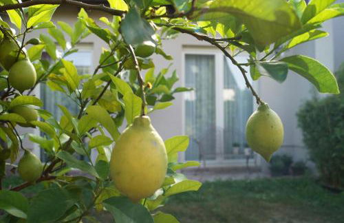 Haus am See - Foto 29