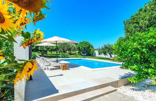 Villa Kutija with heated pool - Foto 5