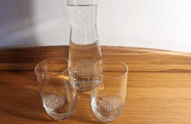 Ferienwohnung mit sonniger Dachterrasse am Pferdehof - Foto 26