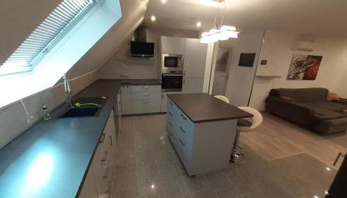 DTV 4 Sterne-Ferienwohnung Am Wickenpfädchen - Wo Weinberge flüstern und der Rhein zum Träumen einlädt - - Foto 4, stove, dishwasher