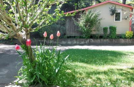 Chalet charmant à Saint-Jean-du-Gard - Foto 36