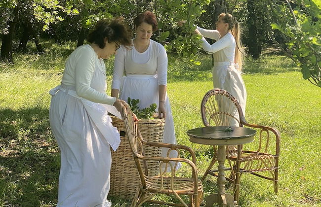 Ginestriccio - Foto 52