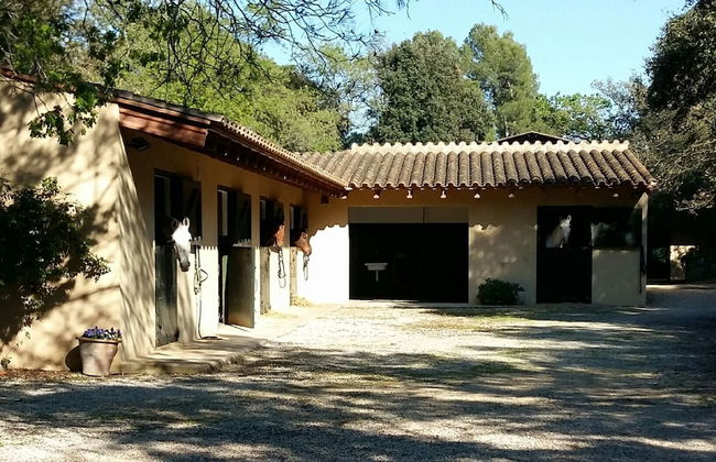 Mas Caterina - Foto 28