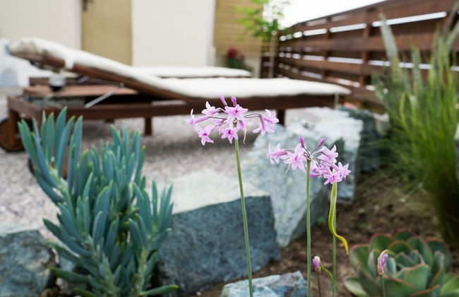 Villa Acacia - Foto 35