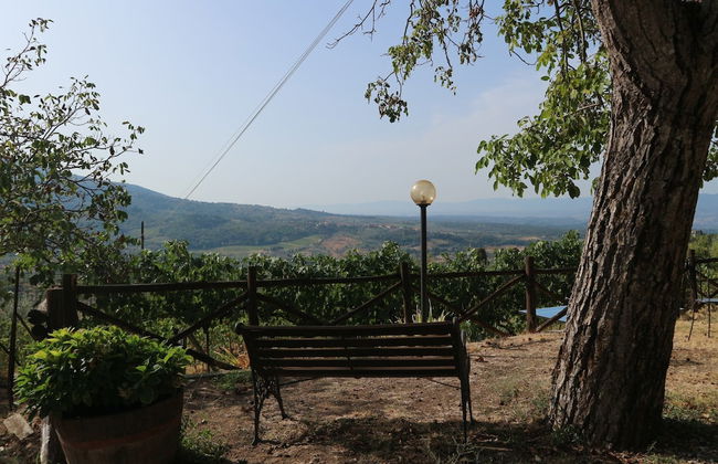 Agriturismo Poggio di Montepescoli - Il Noce - Foto 37