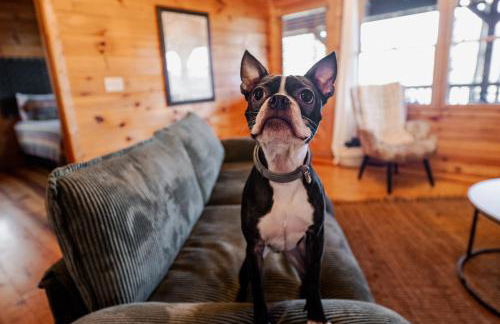 A Rustic Hideout - Foto 10