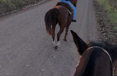 Hospedaria Rural Recanto Verde dos Canyons - Foto 29