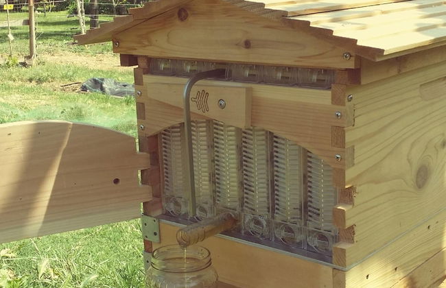 Casale Della Pergola Eco-friendly by the sea - Foto 33