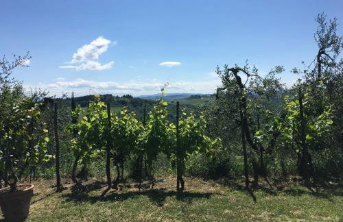 Podere Casanova di Lisa - Foto 73