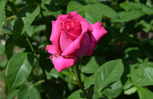 Holiday Home Monte With Pool and Forest Trails - Foto 78