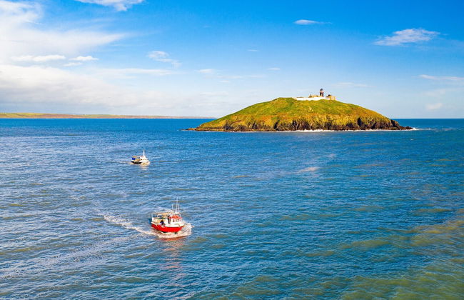 Castlemartyr Holiday Lodge - Foto 69