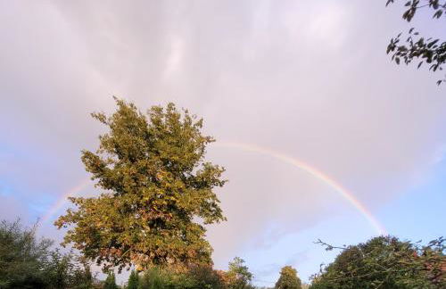 Haus Evelynchen Apartment 1 Deutschhof - Photo 21