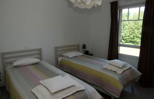 Sur le chemin des phoques - Foto 16